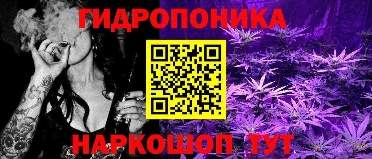 Бошки марихуана марихуана  Конопля марихуана  Котлас  Конопля план  Вход с VPN 
